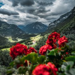 Photo by Leonard Dahmen on Pexels.com