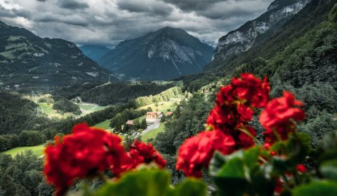 Photo by Leonard Dahmen on Pexels.com